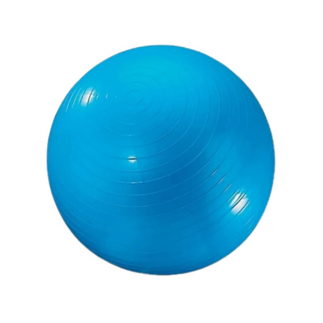 Dick Martin Gymnic Ball 24"