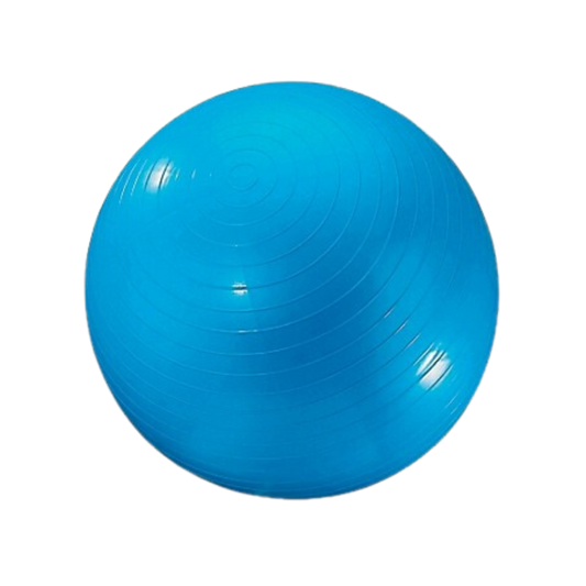 Dick Martin Gymnic Ball 24" (60 cm)